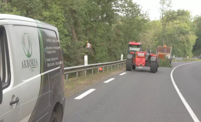 Travaux sur la D749, Châtellerault, Arborea