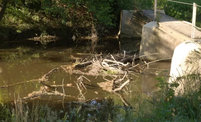 Travaux de rivière / Embâcle, Châtellerault, Arborea