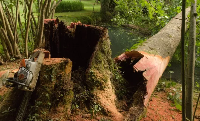 Chantier rivière en Vienne 86, Châtellerault, Arborea