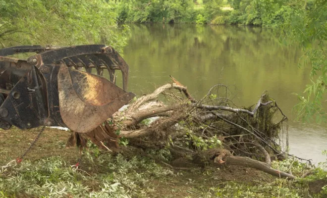 Nettoyage de berge à Civaux, Châtellerault, Arborea