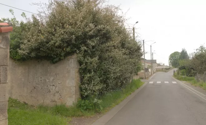 AVANT / APRES Taille d'une haie d'eleagnus, Châtellerault, Arborea