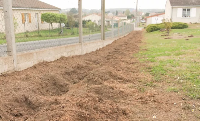 Rognage de 185 souches de Thuyas à Châtellerault, Châtellerault, Arborea