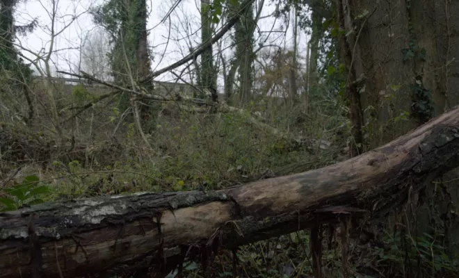 Remise en état d'un terrain en bord de Vienne, Châtellerault, Arborea