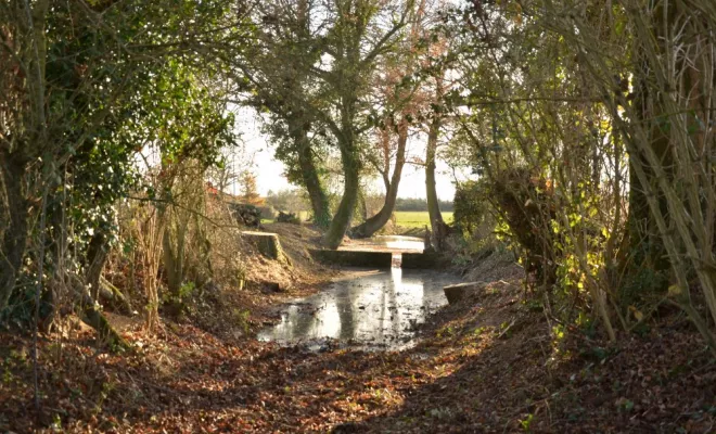 Réouverture de mare, agir pour la biodiversité !, Châtellerault, Arborea