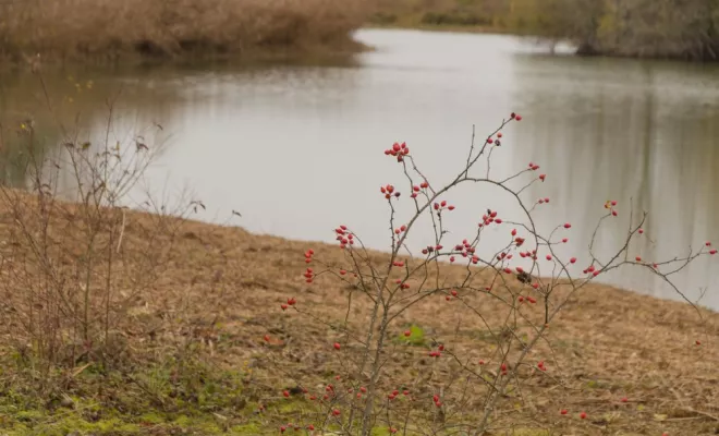 Travaux en espaces naturels, Châtellerault, Arborea