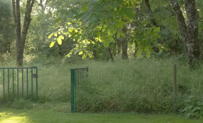 Remise en état de parcelle à Vernon, Châtellerault, Arborea