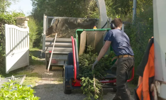 Diverses photos d'élagage et d'abattage, Châtellerault, Arborea