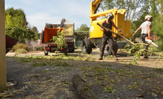 Travaux d'élagage en nacelle, Châtellerault, Arborea
