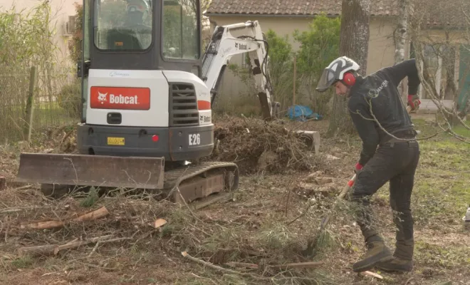 Rognage de souche à Ligugé, Châtellerault, Arborea