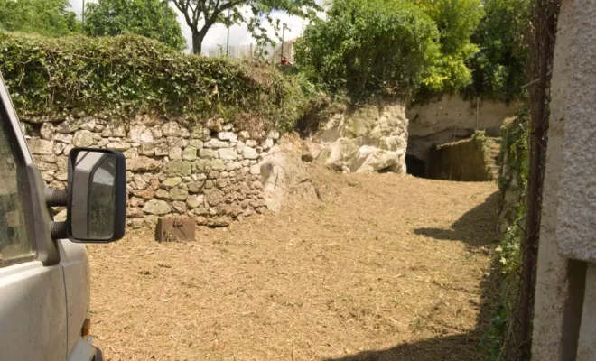 Remise en état de jardin, Châtellerault, Arborea