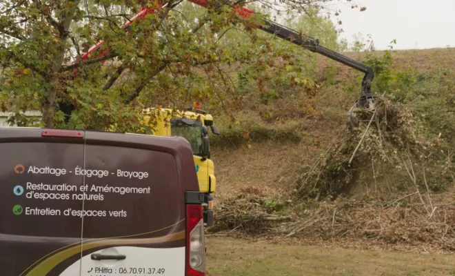 Abattage en bord de route, Châtellerault, Arborea