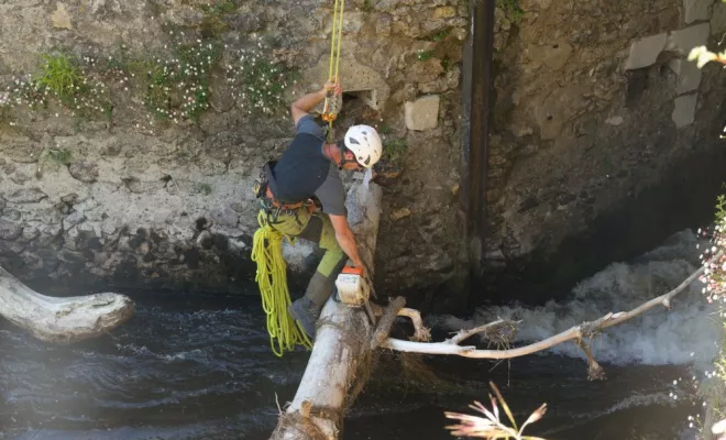 Diverses photos d'élagage et d'abattage, Châtellerault, Arborea