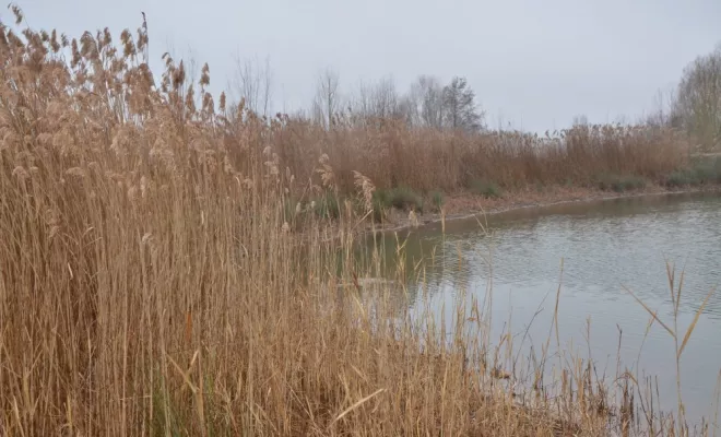 Travaux en espaces naturels, Châtellerault, Arborea