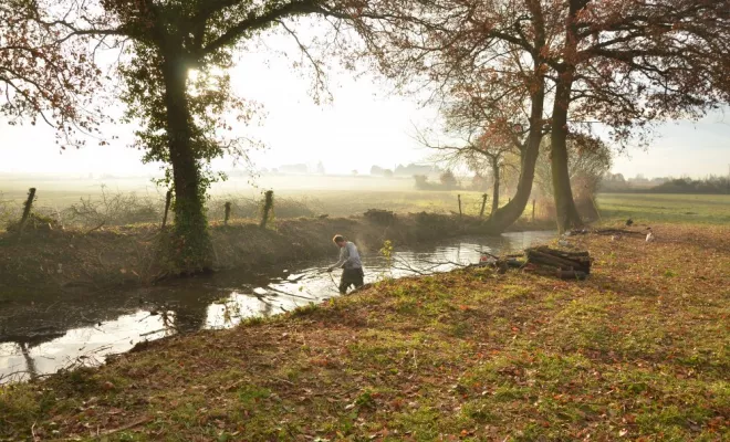 Réouverture de mare, agir pour la biodiversité !, Châtellerault, Arborea