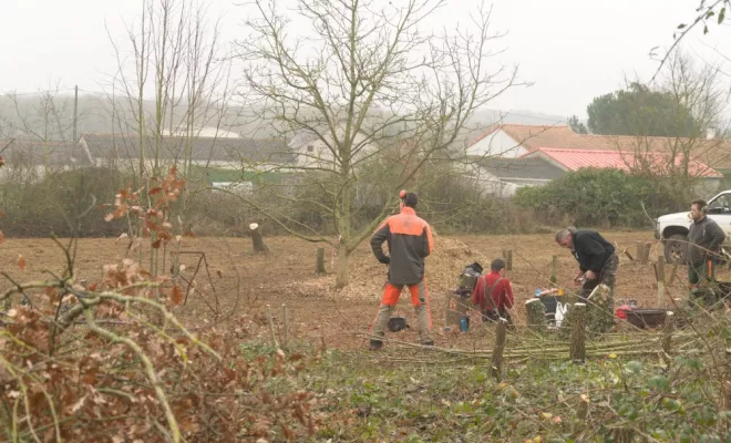 Défrichage de terrain dans les Deux-Sèvres, Châtellerault, Arborea