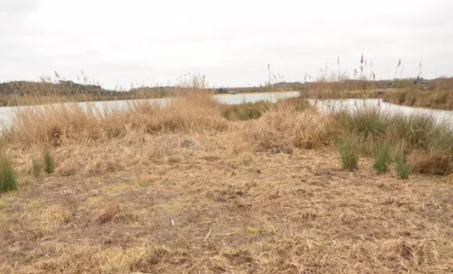 Travaux en espaces naturels, Châtellerault, Arborea