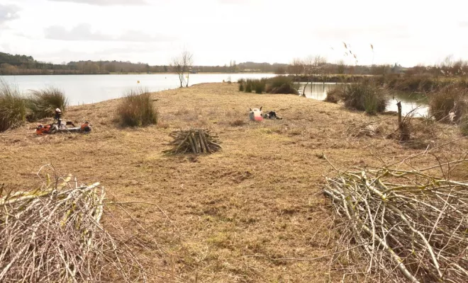 Travaux en espaces naturels, Châtellerault, Arborea