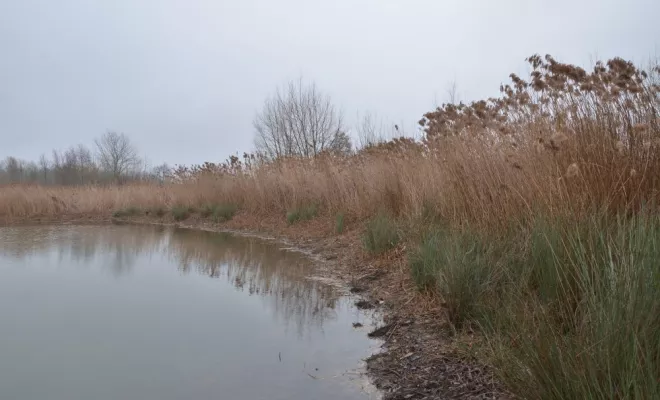 Travaux en espaces naturels, Châtellerault, Arborea