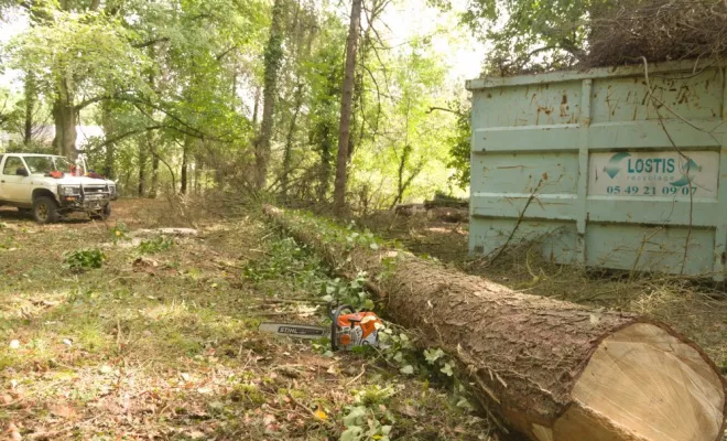 Diverses photos d'élagage et d'abattage, Châtellerault, Arborea