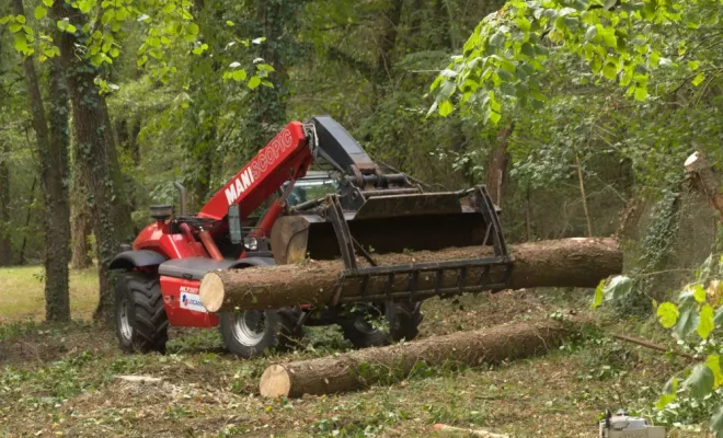 Diverses photos d'élagage et d'abattage, Châtellerault, Arborea