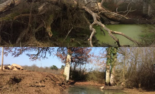 Travaux en espaces naturels, Châtellerault, Arborea