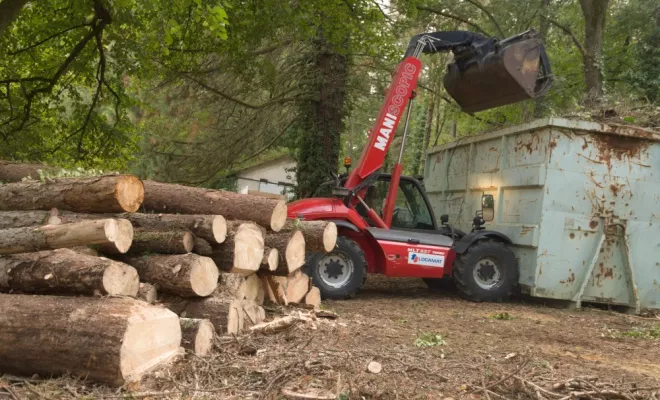 Diverses photos d'élagage et d'abattage, Châtellerault, Arborea