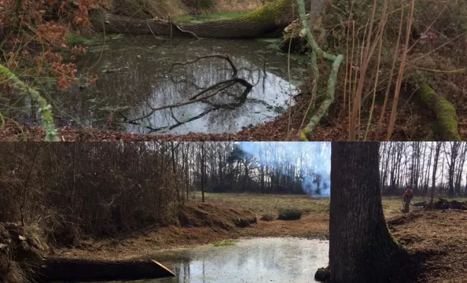 Travaux en espaces naturels, Châtellerault, Arborea