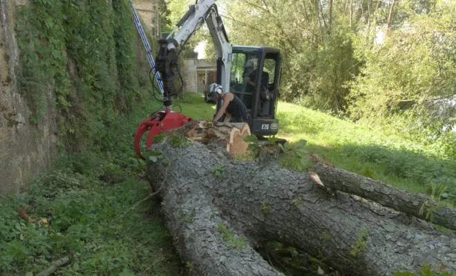 Intervention d'élagage d'urgence, Châtellerault, Arborea
