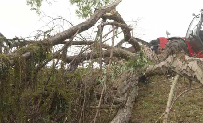 Nettoyage de berge à Civaux, Châtellerault, Arborea