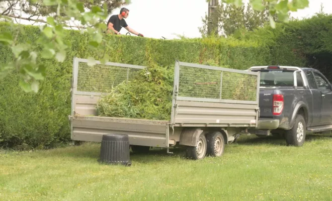 Taille de haie à Chauvigny 86300, Châtellerault, Arborea