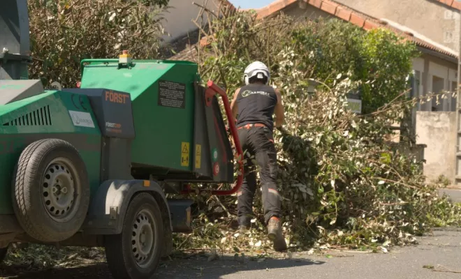 AVANT / APRES Taille d'une haie d'eleagnus, Châtellerault, Arborea