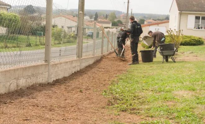 Rognage de 185 souches de Thuyas à Châtellerault, Châtellerault, Arborea