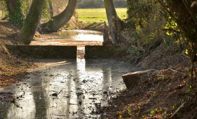 Réouverture de mare, agir pour la biodiversité !, Châtellerault, Arborea