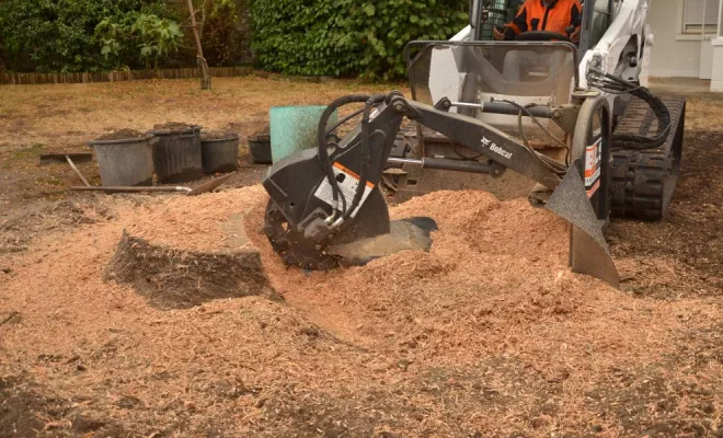 Rognage de souche, Châtellerault, Arborea