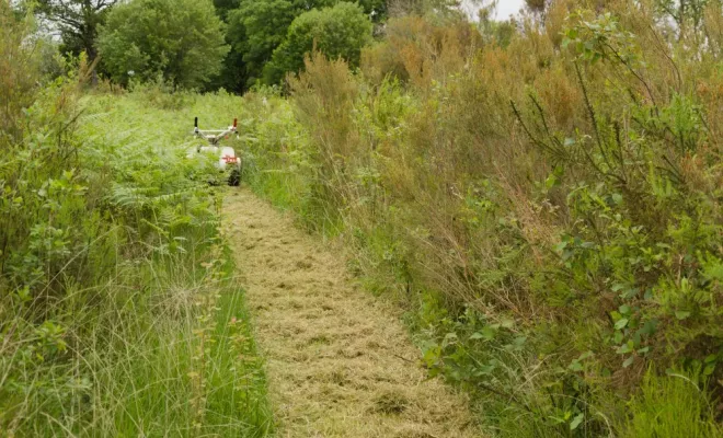 Défrichage avec une broyeuse à fléaux, Châtellerault, Arborea