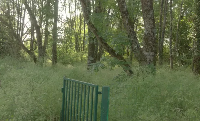 Remise en état de parcelle à Vernon, Châtellerault, Arborea