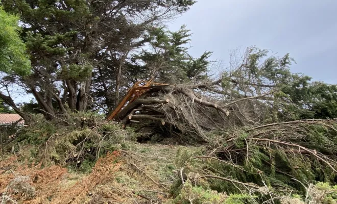 ELAGAGE sur l'île d'Yeu, Châtellerault, Arborea