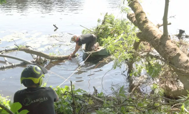 Chantier riviére, Châtellerault, Arborea