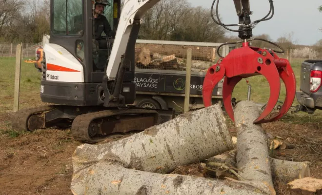 Rognage de souche à Ligugé, Châtellerault, Arborea