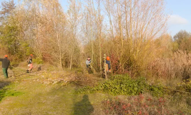 Travaux en espaces naturels, Châtellerault, Arborea