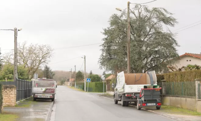 Diverses photos d'élagage et d'abattage, Châtellerault, Arborea