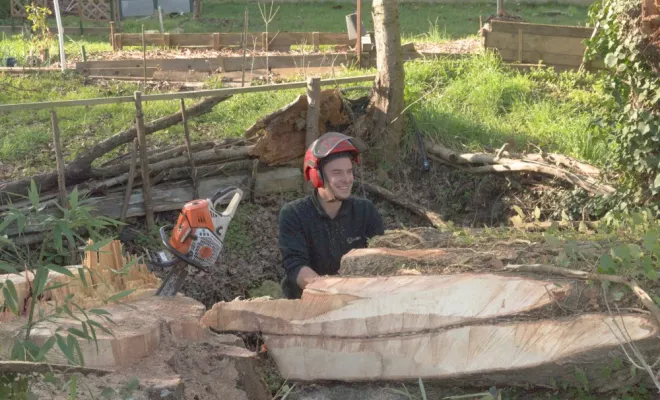 Abattage d'un grand peuplier sur la commune de Oyré, Châtellerault, Arborea