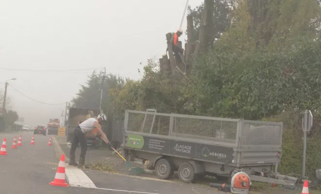 Travaux d'élagage à Bonneuil-Matours, Châtellerault, Arborea