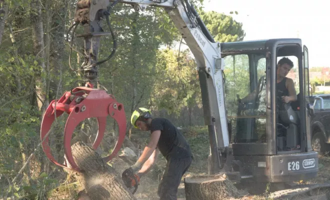 Abattage par démontage de chênes à Saint Julien l'Ars, Châtellerault, Arborea