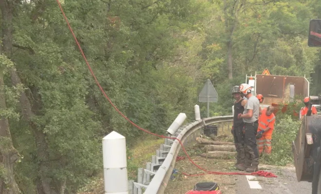 Travaux sur la D749, Châtellerault, Arborea