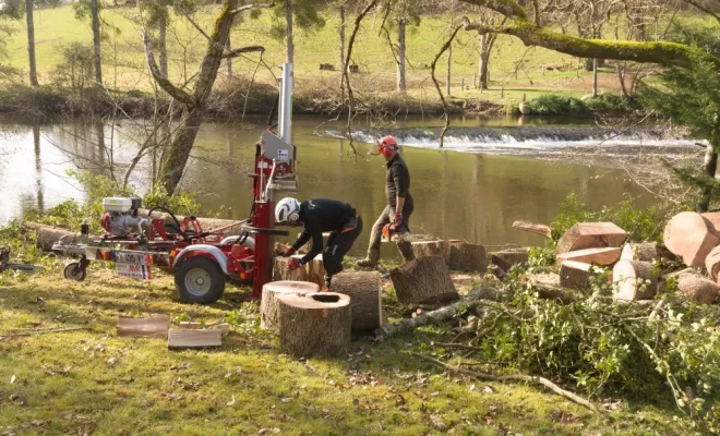 Abattage d'un Frêne à Lathus Saint Remy, Châtellerault, Arborea
