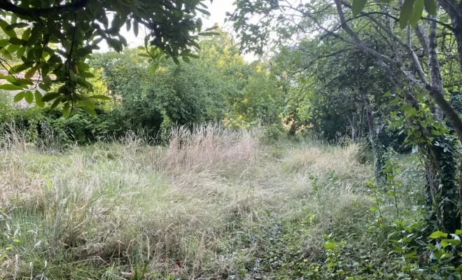 Remise en état de jardin, Châtellerault, Arborea