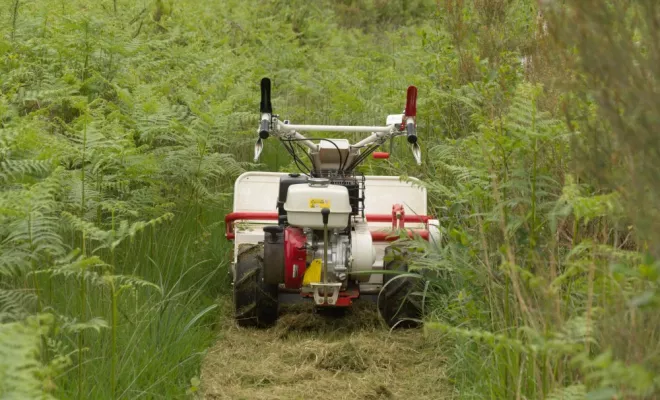 Défrichage avec une broyeuse à fléaux, Châtellerault, Arborea
