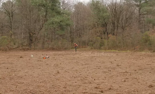 Restauration de vieilles landes mésophiles, Châtellerault, Arborea