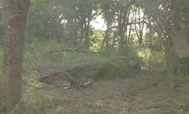 Remise en état de parcelle à Vernon, Châtellerault, Arborea